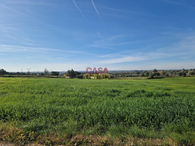 Armazém para Venda em Brogueira, Parceiros de Igreja e Alcorochel Foto 13
