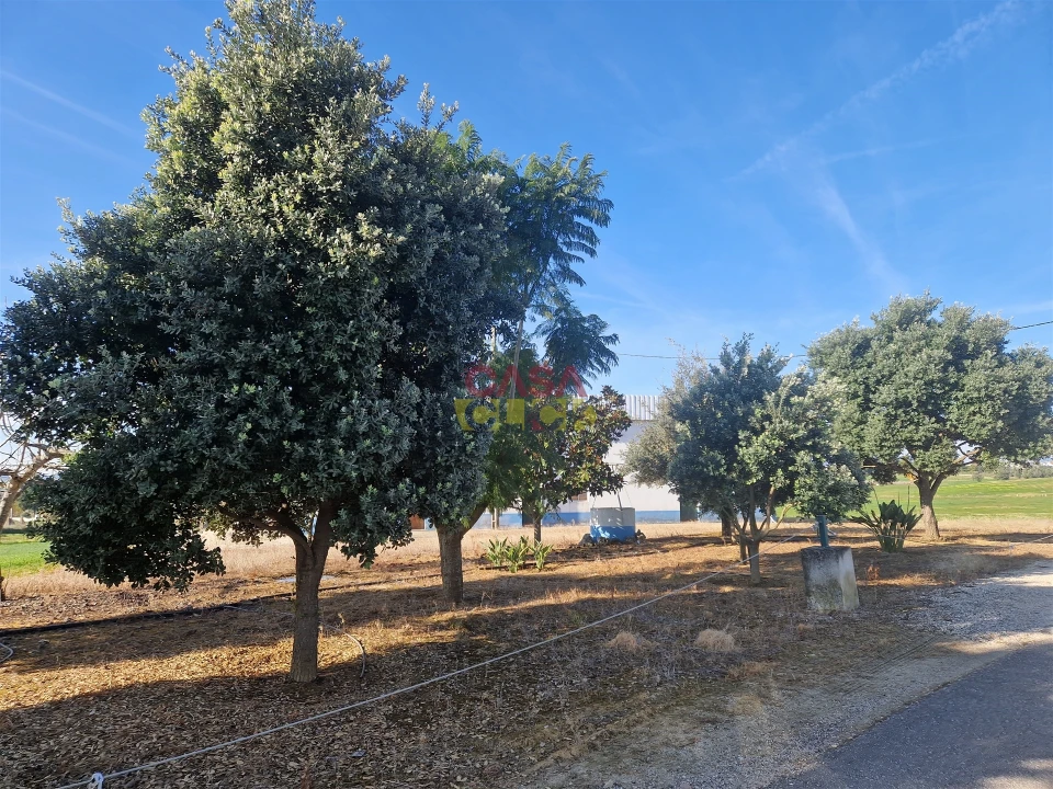 Armazém para Venda em Brogueira, Parceiros de Igreja e Alcorochel Foto 21