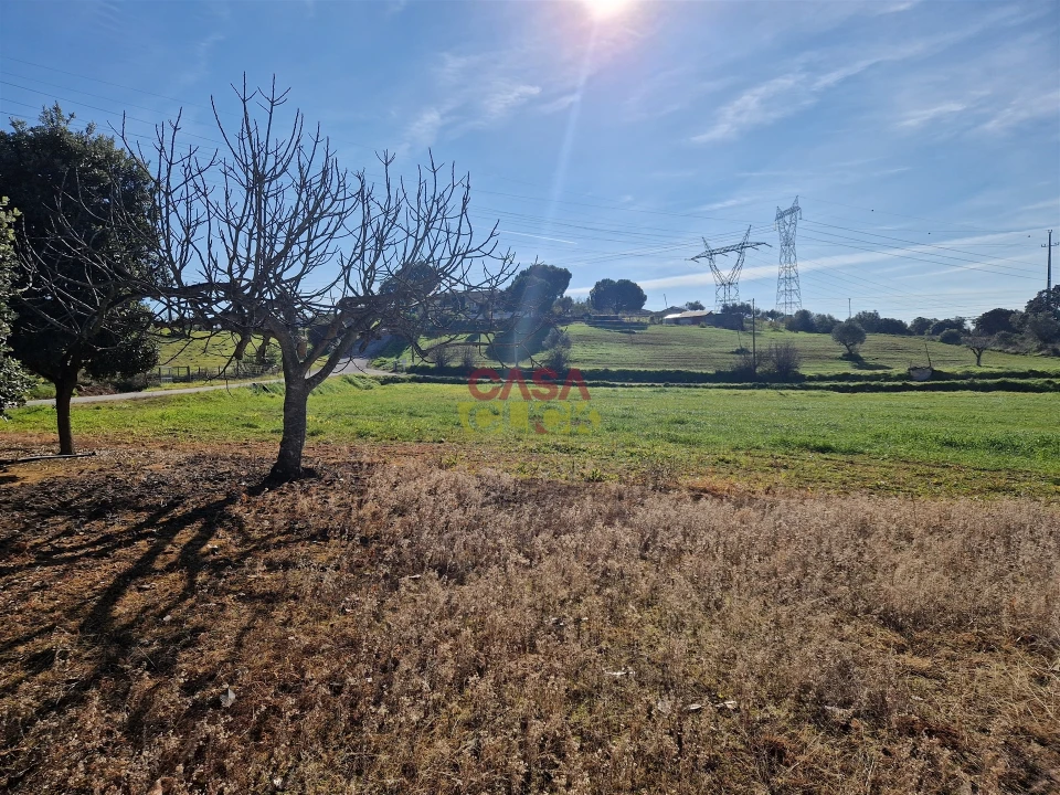 Armazém para Venda em Brogueira, Parceiros de Igreja e Alcorochel Foto 7