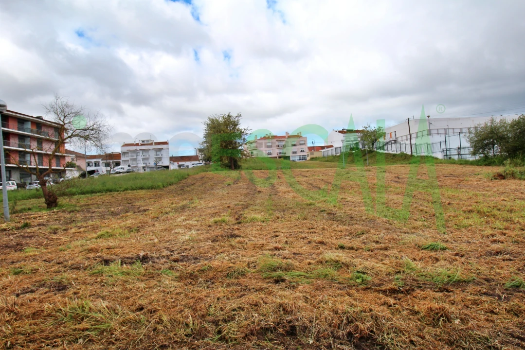 Terreno para Venda em Cartaxo e Vale da Pinta Foto 6