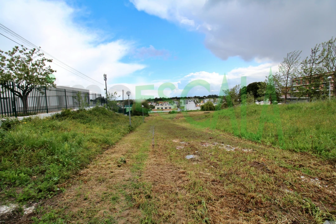 Terreno para Venda em Cartaxo e Vale da Pinta Foto 7