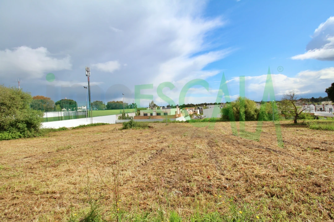 Terreno para Venda em Cartaxo e Vale da Pinta Foto 16