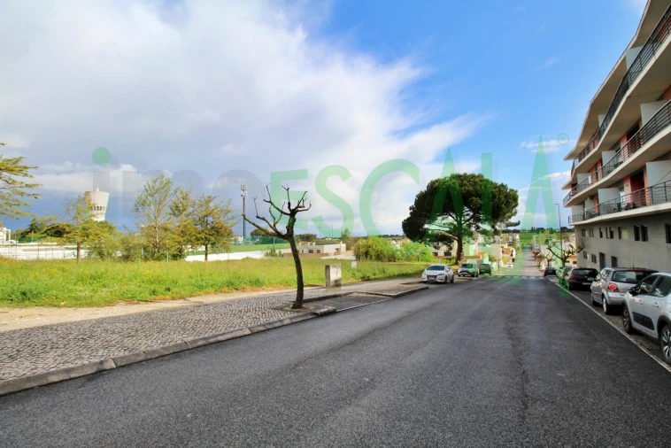 Terreno para Venda em Cartaxo e Vale da Pinta Foto 11