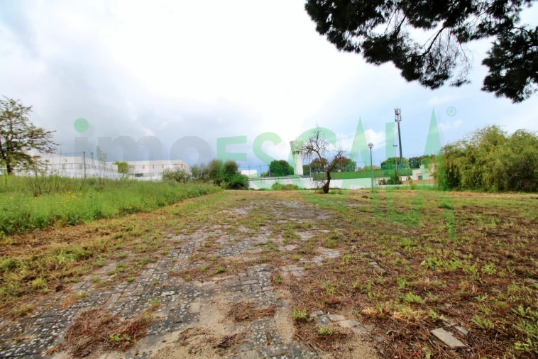 Terreno para Venda em Cartaxo e Vale da Pinta Foto 10