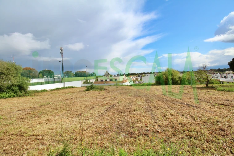 Terreno para Venda em Cartaxo e Vale da Pinta Foto 16