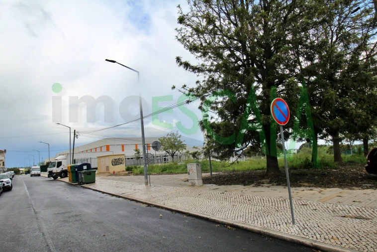 Terreno para Venda em Cartaxo e Vale da Pinta Foto 9