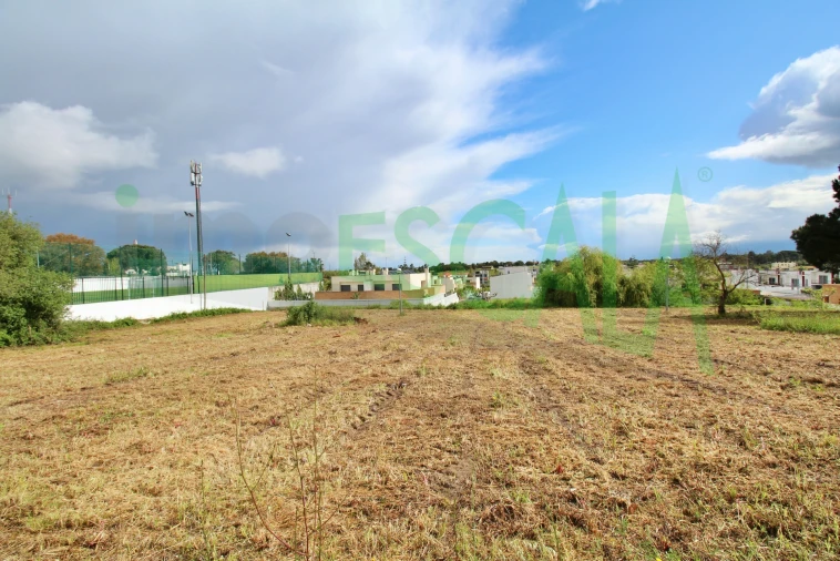 Terreno para Venda em Cartaxo e Vale da Pinta Foto 17