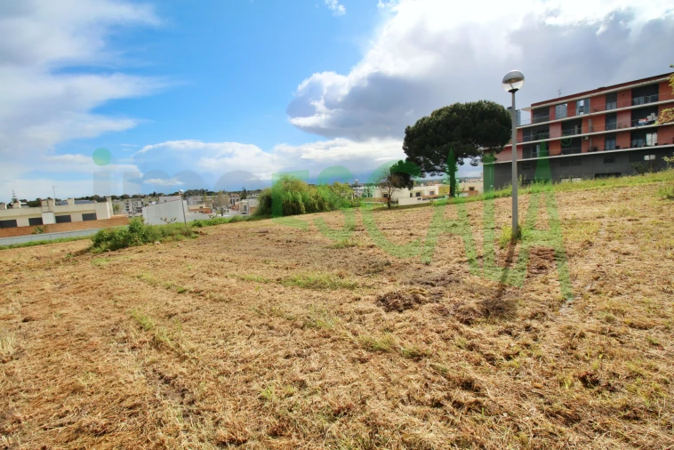 Terreno para Venda em Cartaxo e Vale da Pinta Foto 21