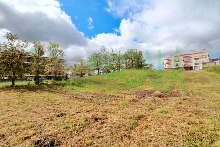 Terreno para Venda em Cartaxo e Vale da Pinta Foto 19