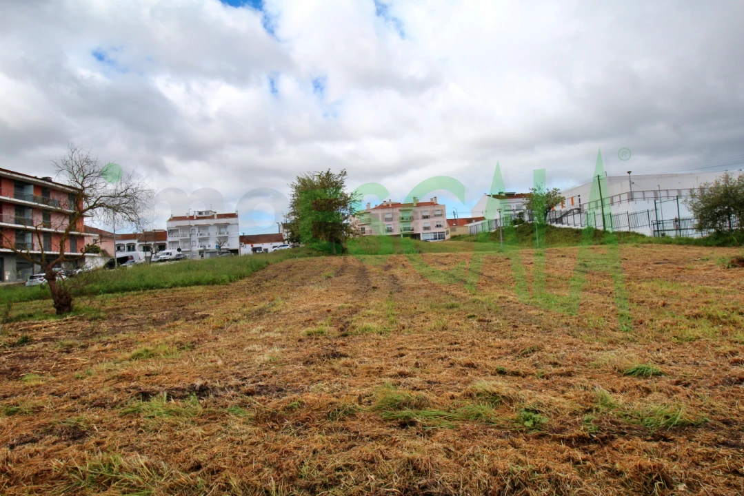 Terreno para Venda em Cartaxo e Vale da Pinta Foto 13