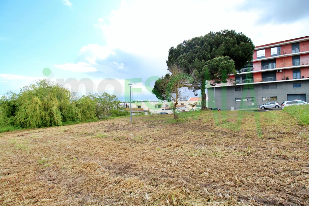 Terreno para Venda em Cartaxo e Vale da Pinta Foto 15