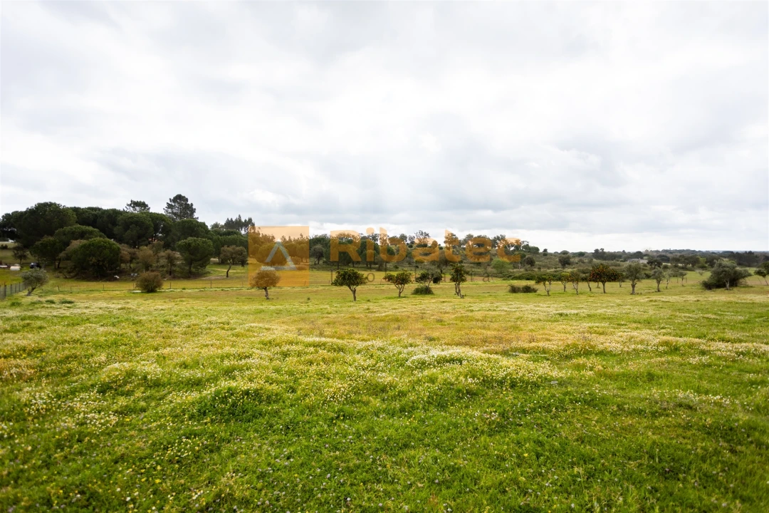 Moradia T3 para Venda em Branca Foto 18