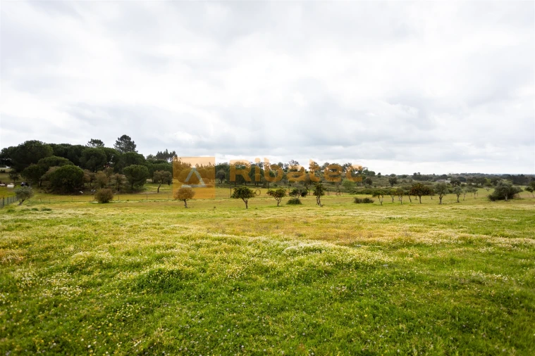 Moradia T3 para Venda em Branca Foto 18