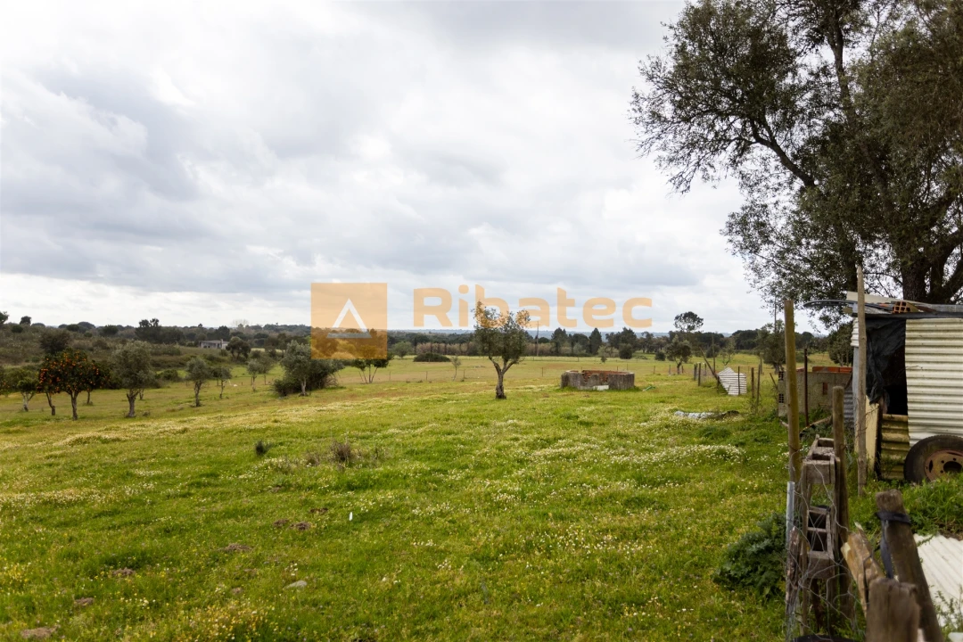 Moradia T3 para Venda em Branca Foto 19