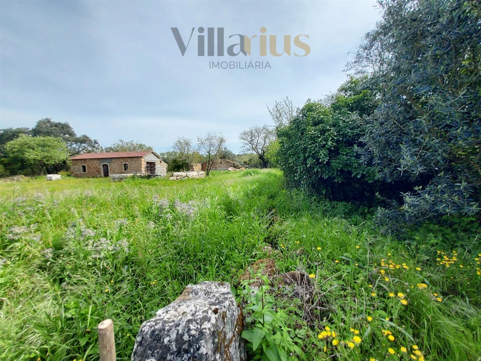 Moradia T3 para Venda em Chãos Foto 20