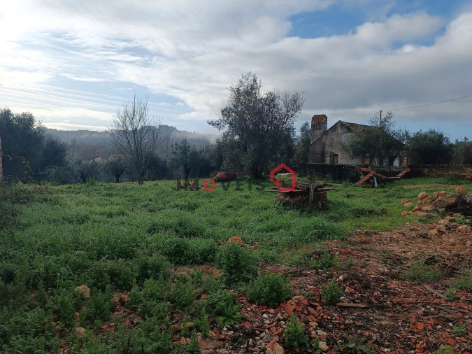 Moradia T0 para Venda em Seiça Foto 5