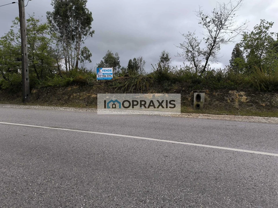 Terreno para Venda em Colmeias e Memória Foto 1