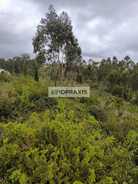 Terreno para Venda em Colmeias e Memória