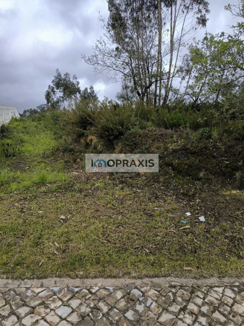 Terreno para Venda em Colmeias e Memória