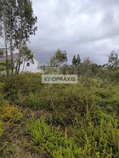 Terreno para Venda em Colmeias e Memória