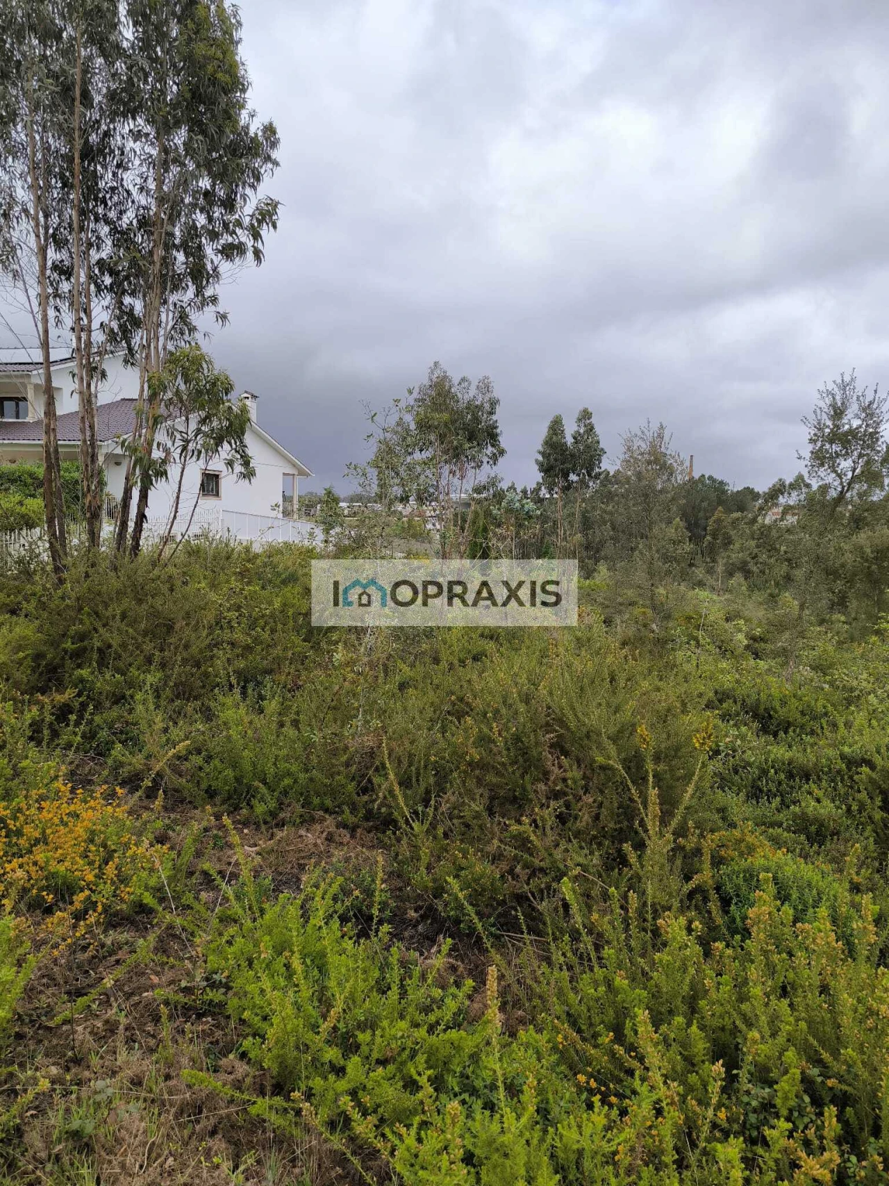Terreno para Venda em Colmeias e Memória Foto 5