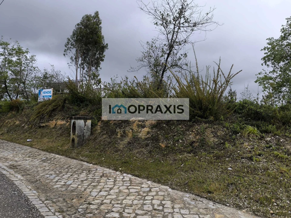 Terreno para Venda em Colmeias e Memória Foto 2
