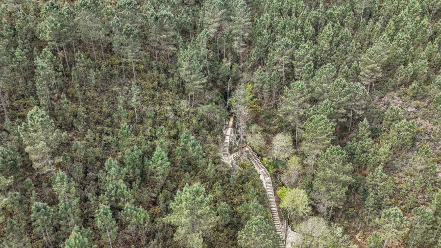 Moradia T3 para Venda em Rio Caldo Foto 18