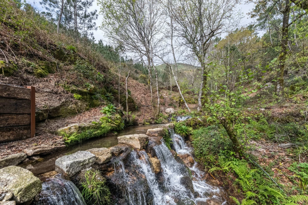 Moradia T3 para Venda em Rio Caldo Foto 2