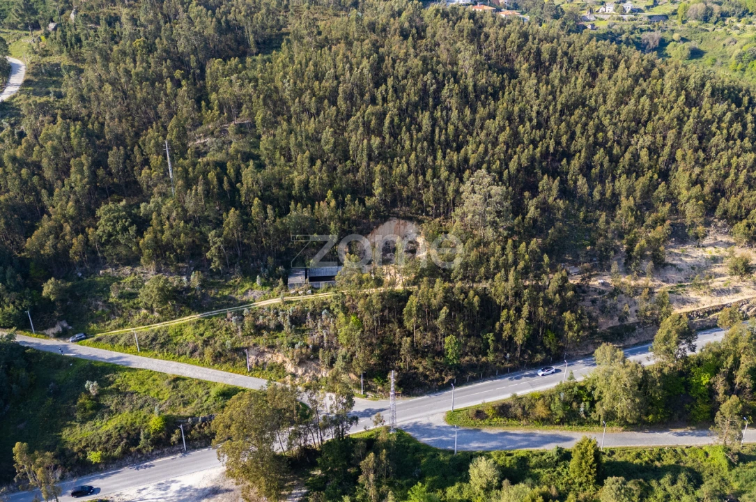 Terreno para Venda em Rio de Moinhos Foto 13