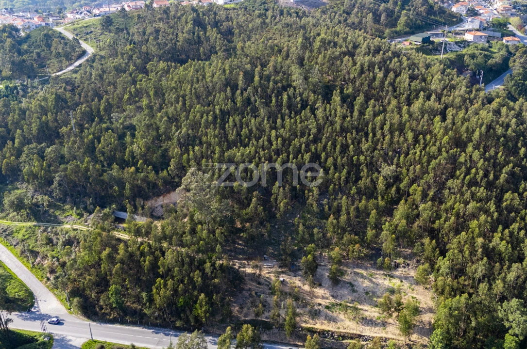 Terreno para Venda em Rio de Moinhos Foto 17