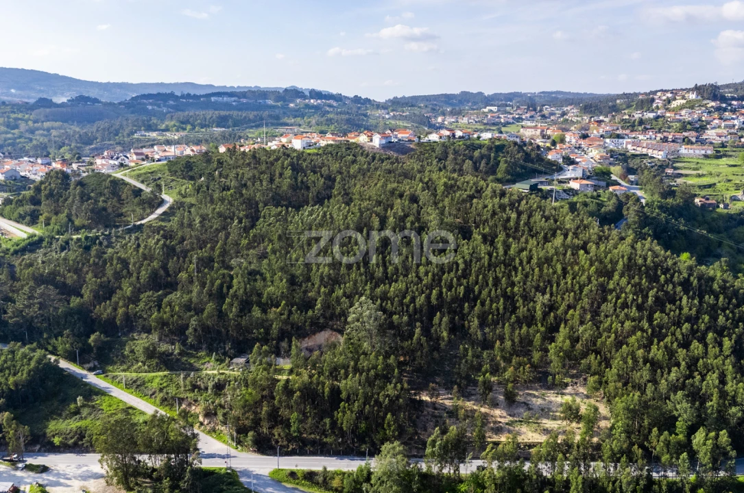 Terreno para Venda em Rio de Moinhos Foto 2