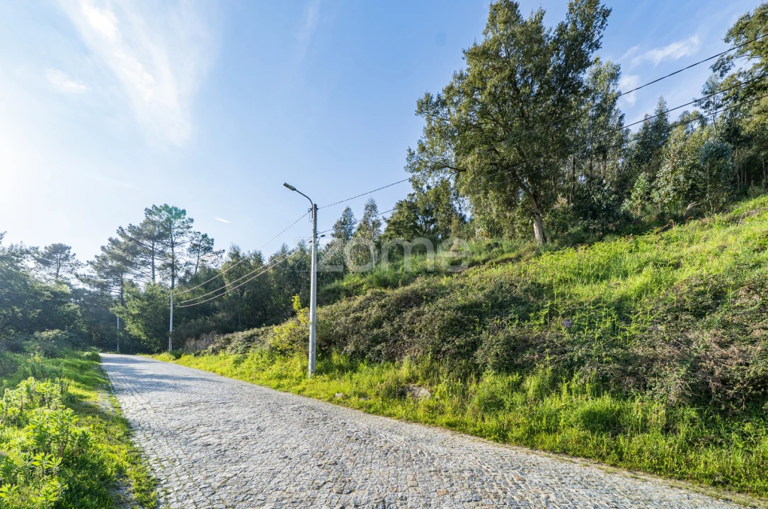 Terreno para Venda em Rio de Moinhos Foto 8