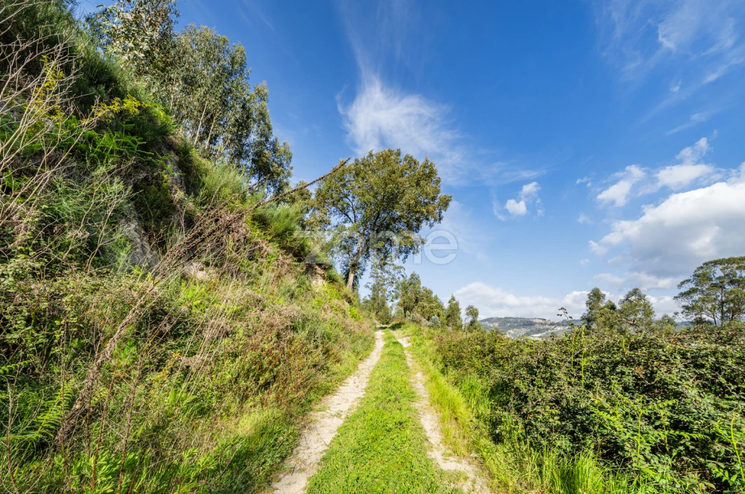 Terreno para Venda em Rio de Moinhos Foto 9