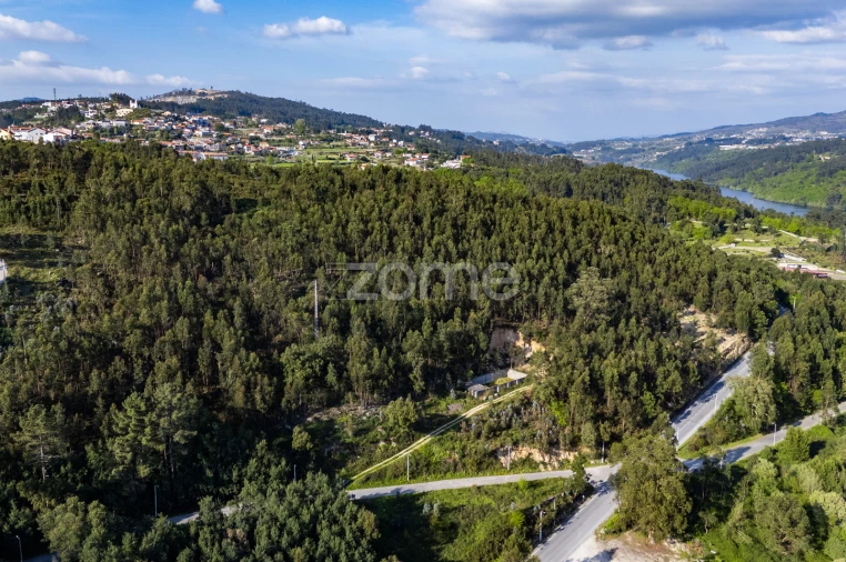 Terreno para Venda em Rio de Moinhos Foto 15