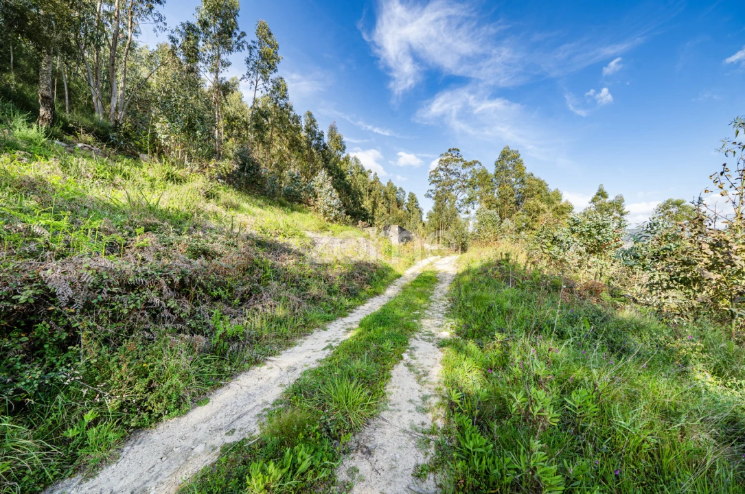 Terreno para Venda em Rio de Moinhos Foto 3