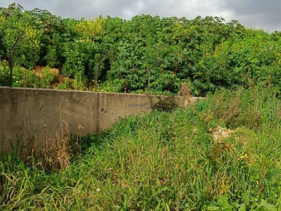 Terreno P/ Prédio para Venda em Alcabideche Foto 12