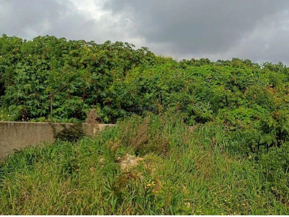 Terreno P/ Prédio para Venda em Alcabideche Foto 15