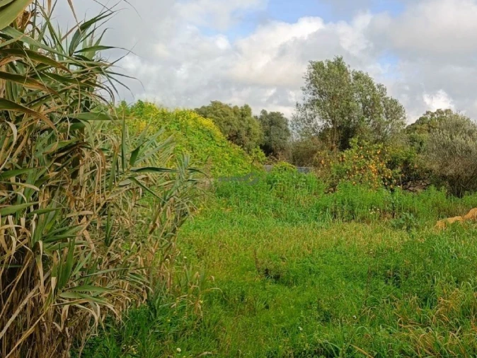 Terreno P/ Prédio para Venda em Alcabideche Foto 6
