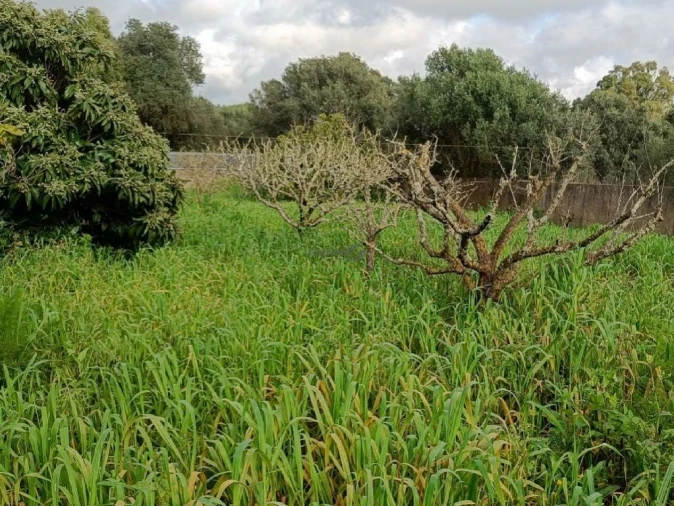 Terreno P/ Prédio para Venda em Alcabideche Foto 13