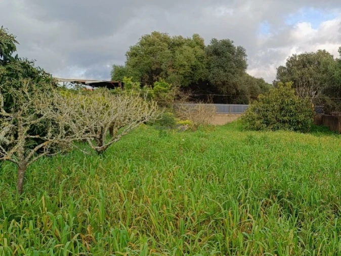 Terreno P/ Prédio para Venda em Alcabideche Foto 18