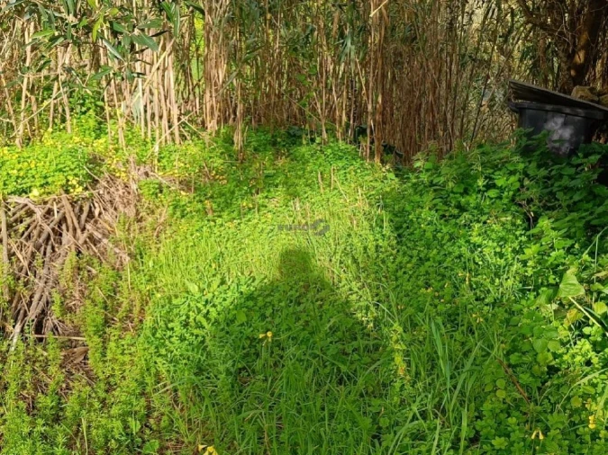 Terreno P/ Prédio para Venda em Alcabideche Foto 19