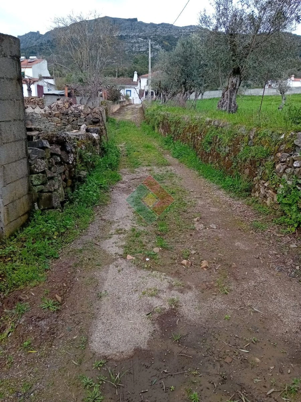 Quinta T10 para Venda em São Salvador da Aramenha Foto 4