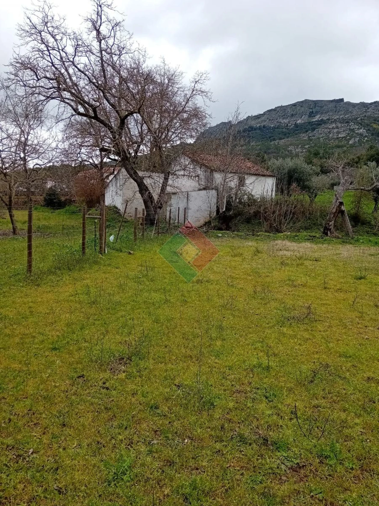Quinta T10 para Venda em São Salvador da Aramenha Foto 5