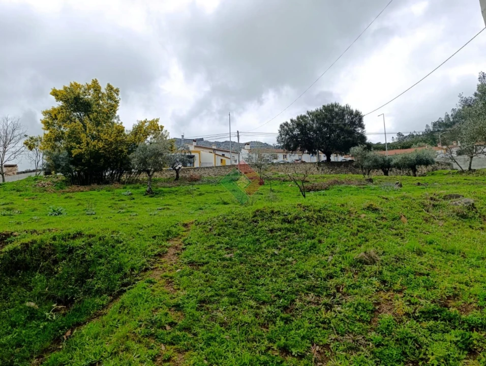 Quinta T10 para Venda em São Salvador da Aramenha Foto 13