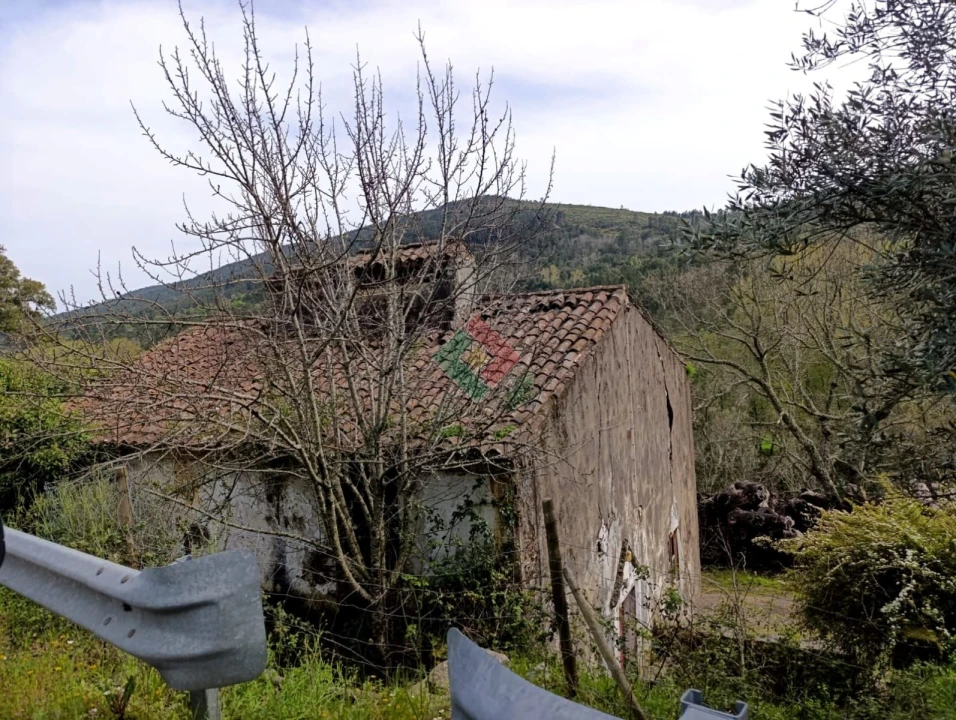 Quinta T10 para Venda em São Salvador da Aramenha Foto 17