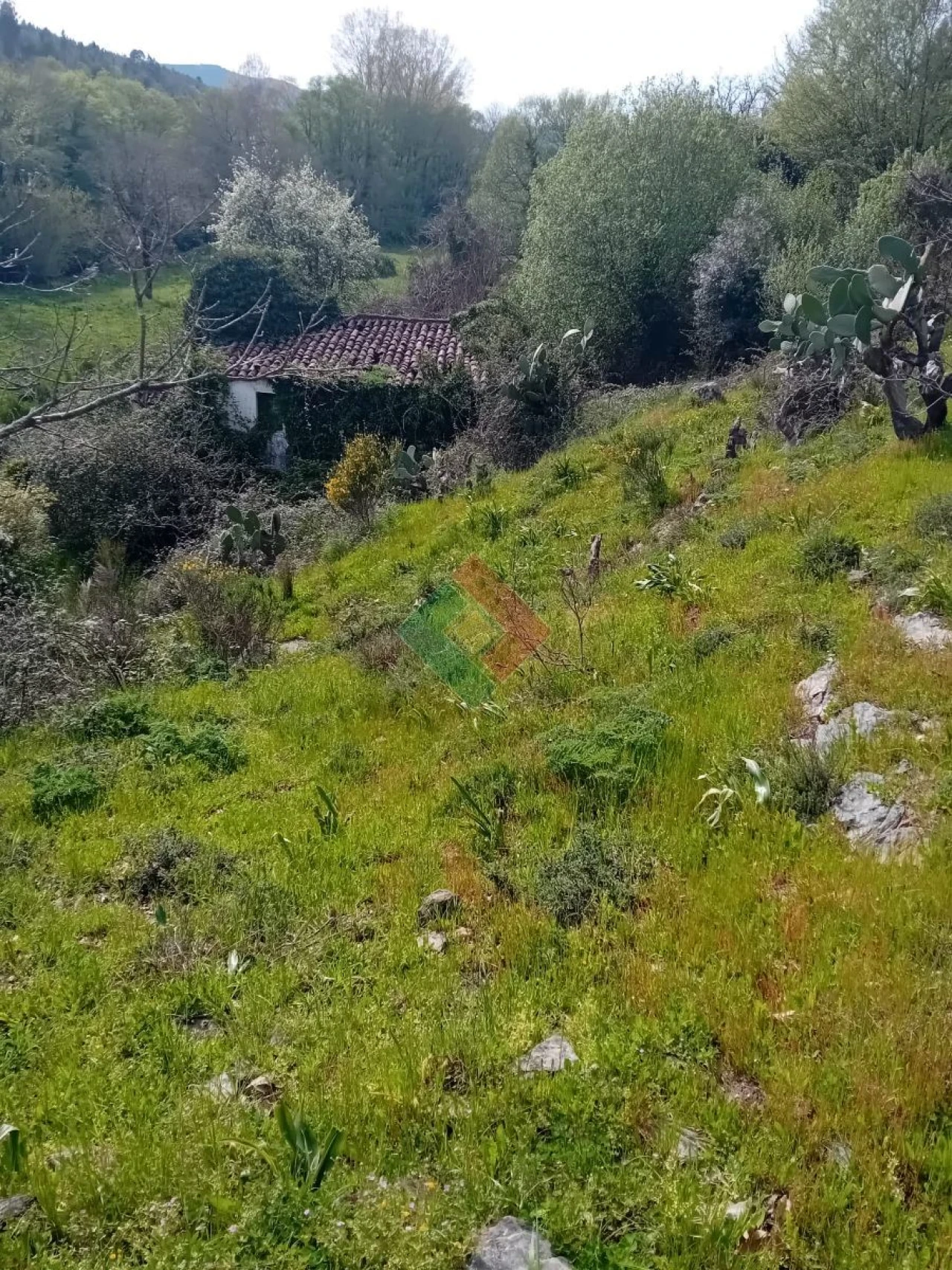 Quinta T10 para Venda em São Salvador da Aramenha Foto 18