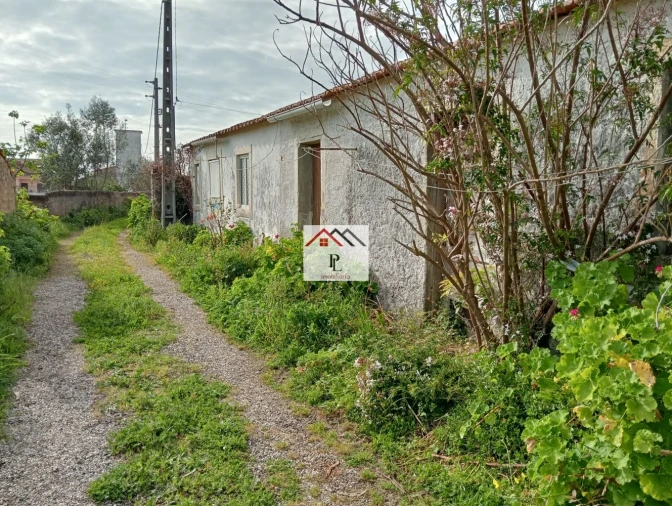 Moradia T1 para Venda em Arazede Foto 14