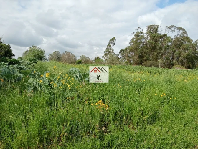 Moradia T1 para Venda em Arazede Foto 34