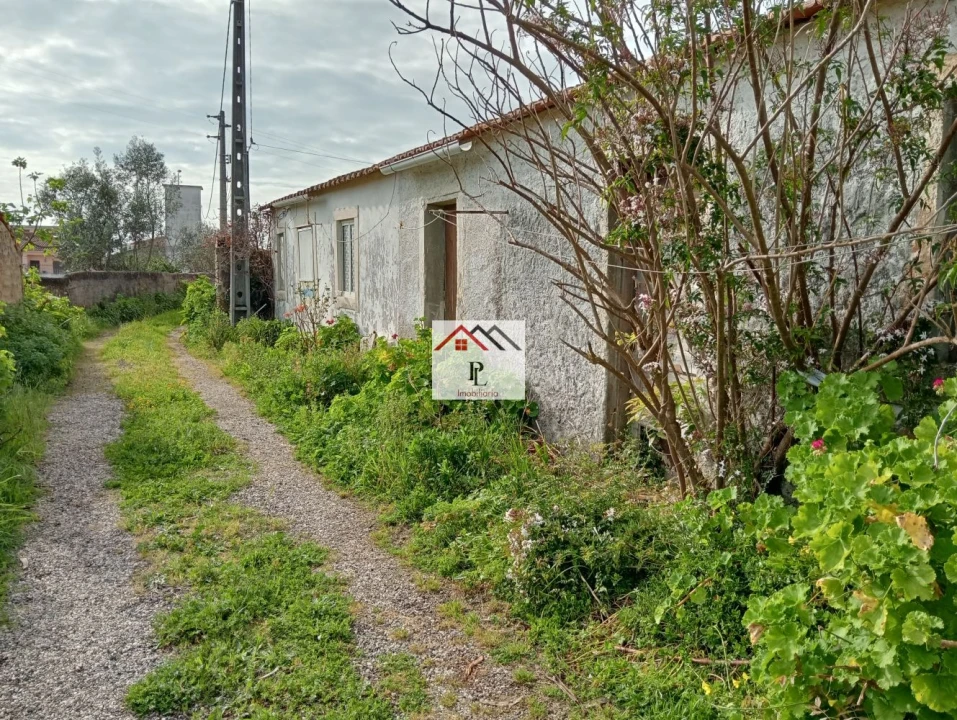 Moradia T1 para Venda em Arazede Foto 14