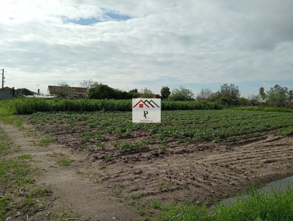 Moradia T1 para Venda em Arazede Foto 35